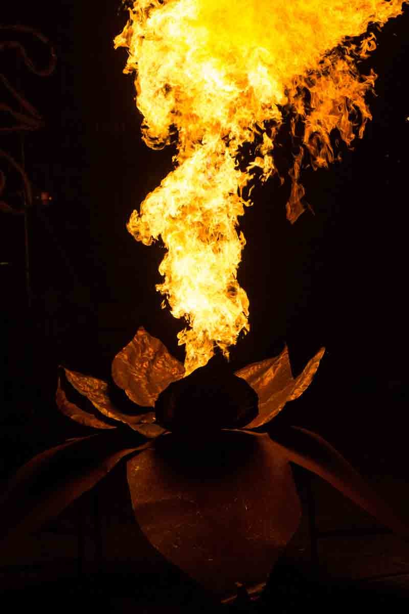 The-Fire-Garden,-created-by-Walk-the-Plank,-seen-here-at-Brentford-Lock.-Image-Vipul-Sangoi-(4).jpg