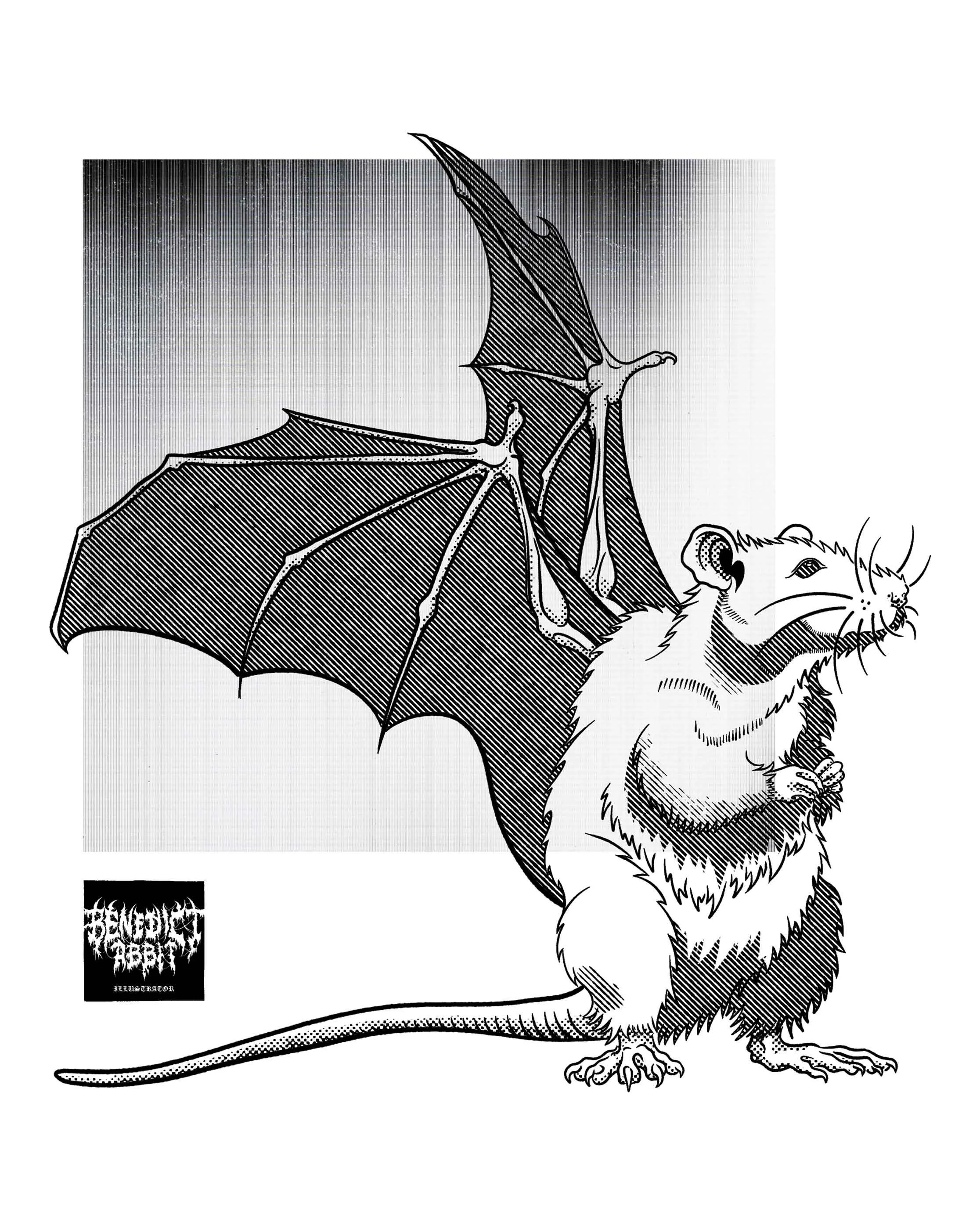 B-Rat.jpg