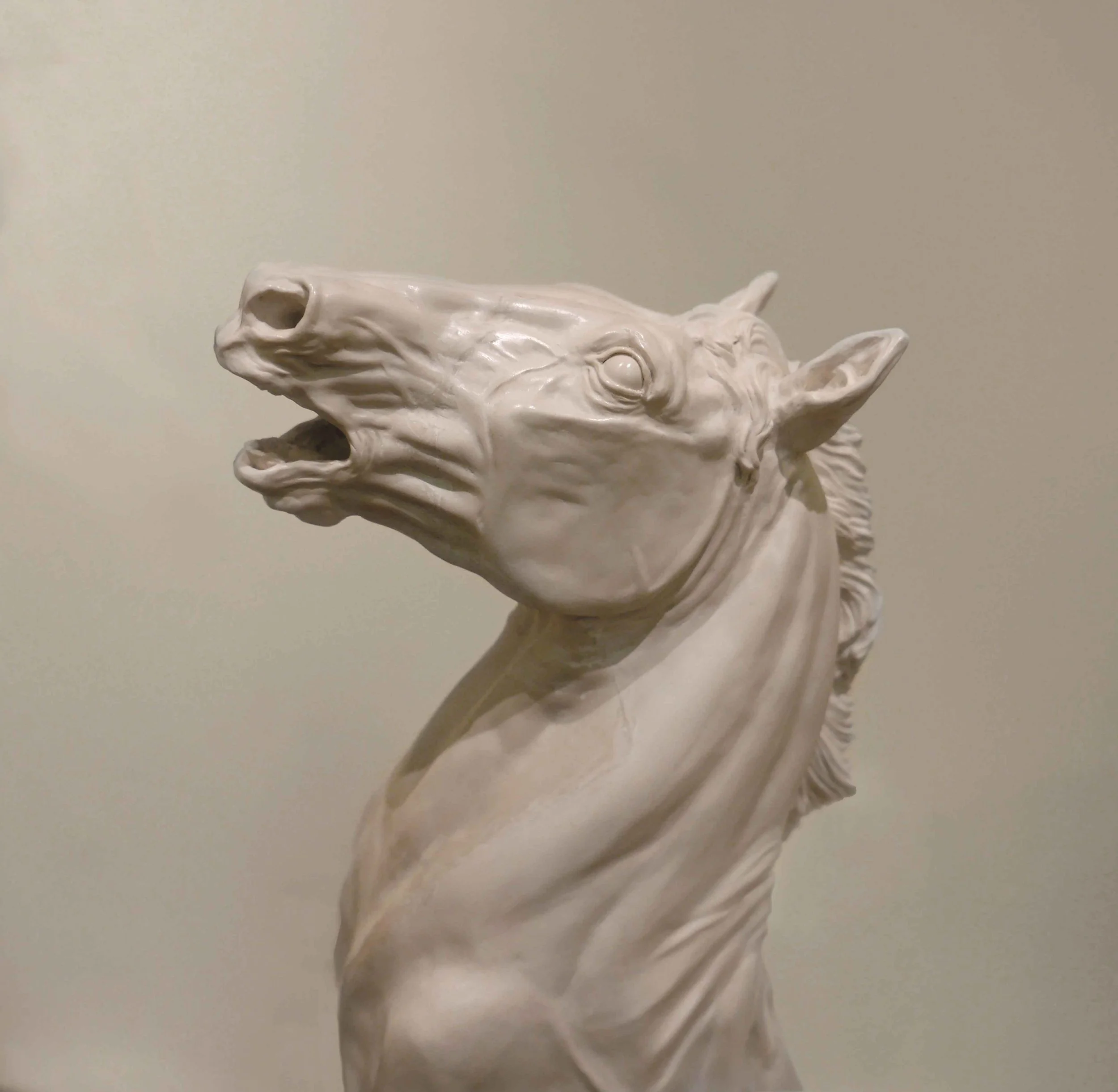 Horse-head-1-print-best.jpg