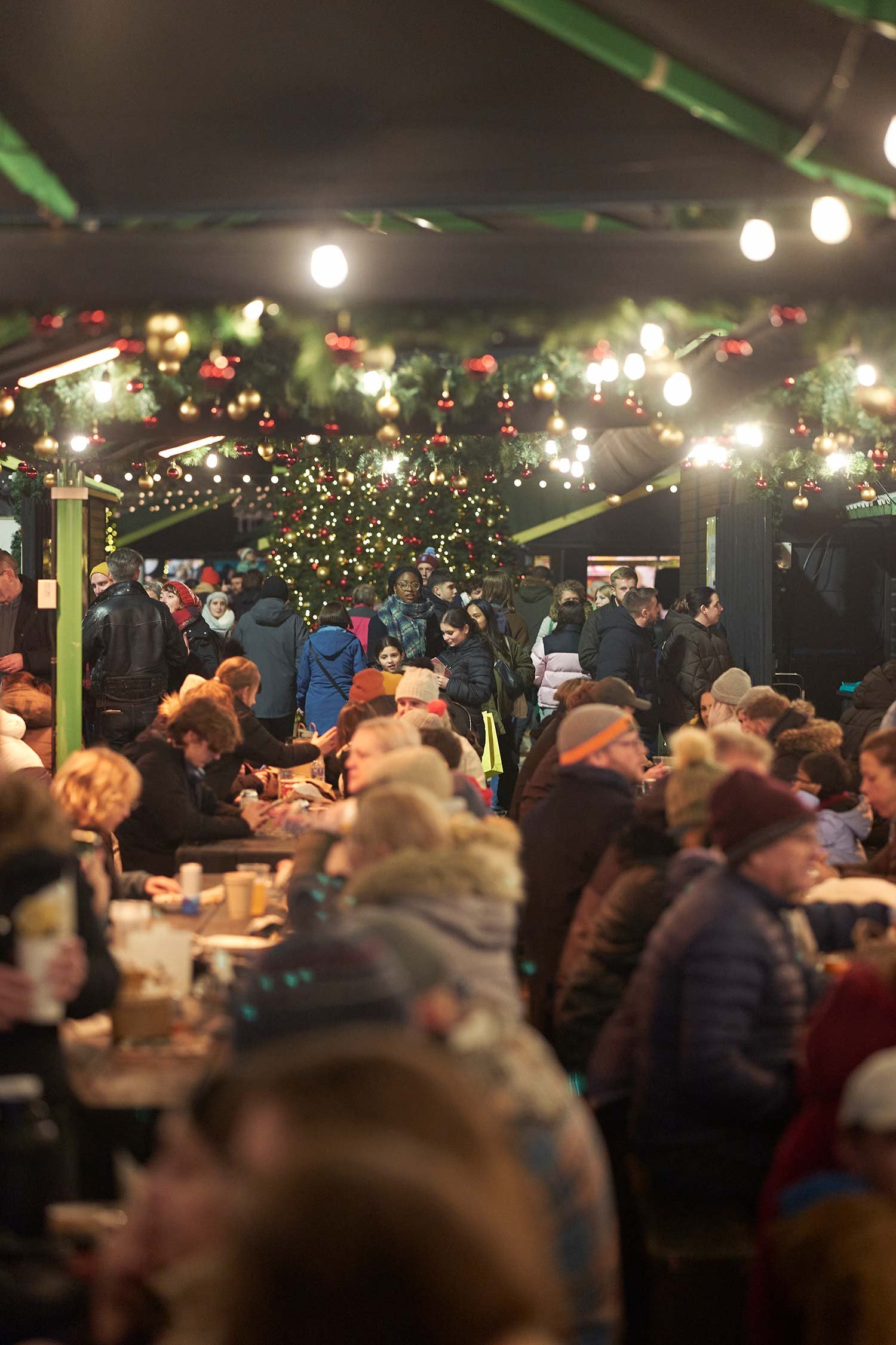 HA_Xmas_Lights_23-88-(1).jpg