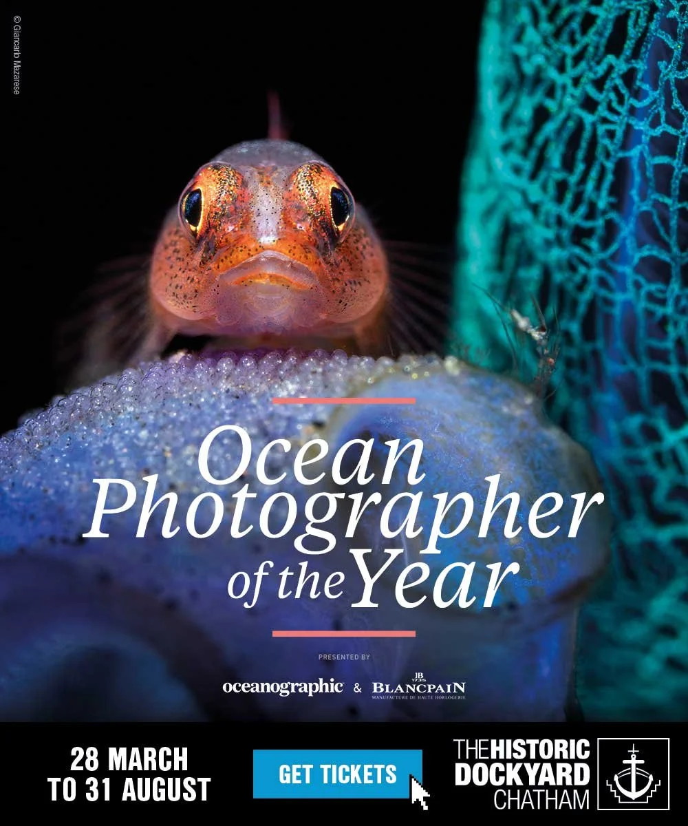 Chatham Dockyard 600 x 500px - Ed44