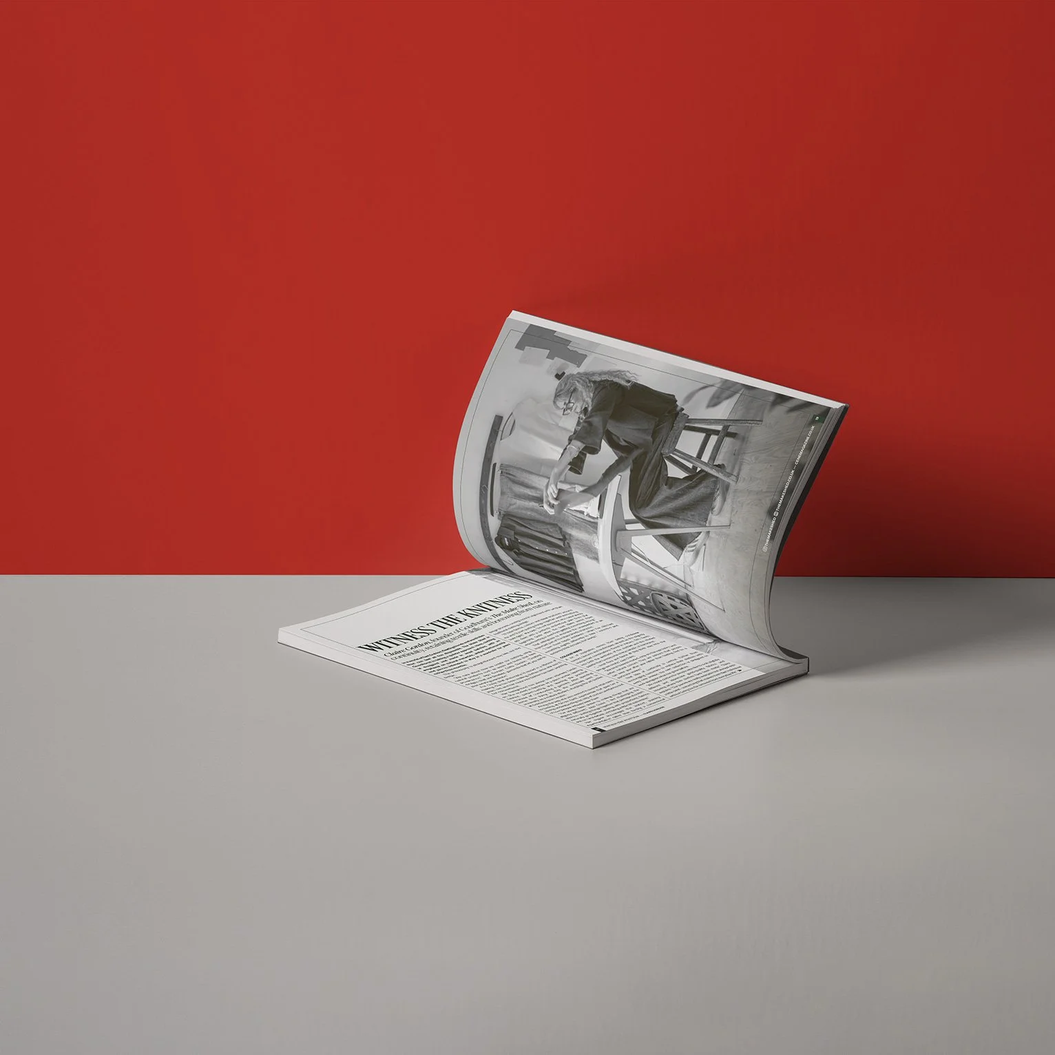 'cene-Magazine-Mock-up-48-the-make-shed.jpg