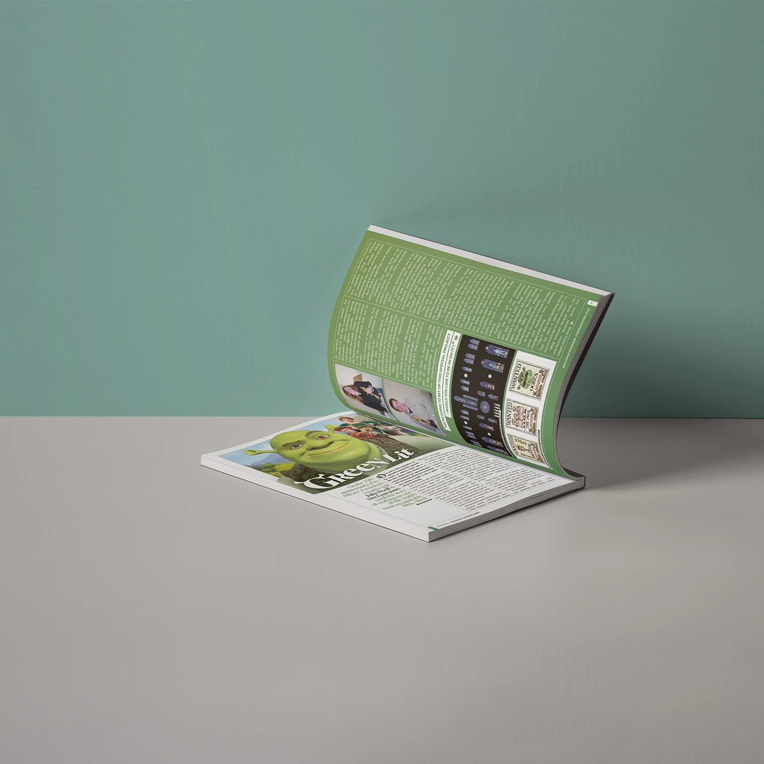 'cene-Magazine-shrek-45.jpg