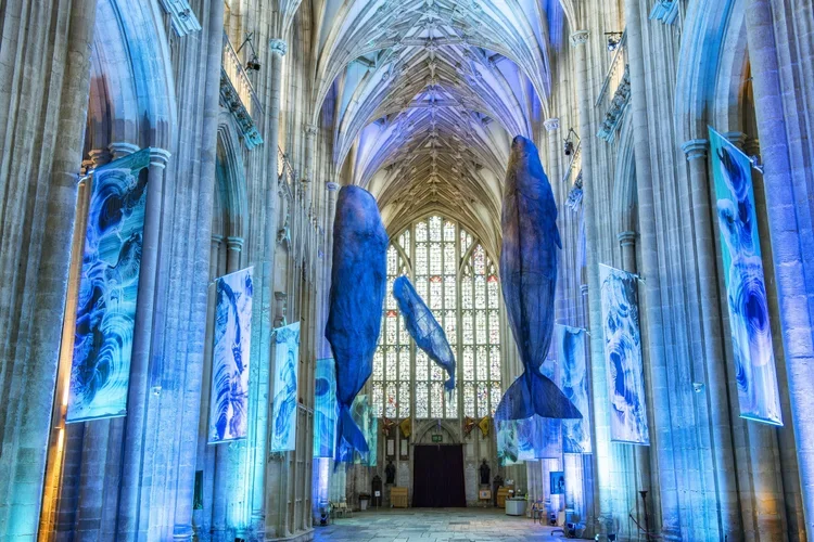 Whales to takeover Rochester Cathedral in 2026