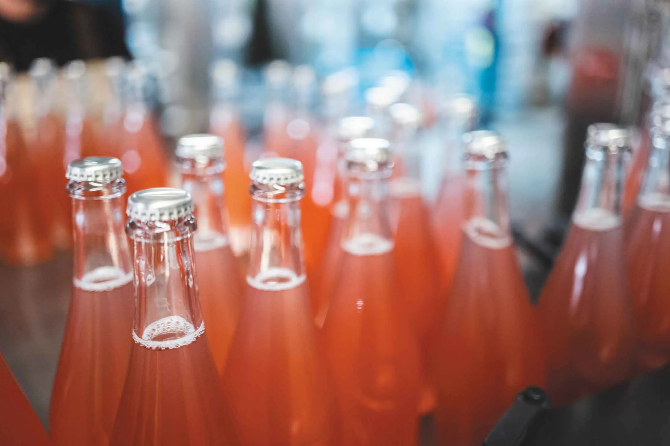 Winerocks: The Slow Revolution and Kent's low-intervention wines