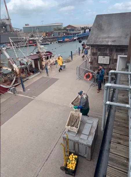 Javier Bardem in Whitstable, Kent, for new film Hello &amp; Paris