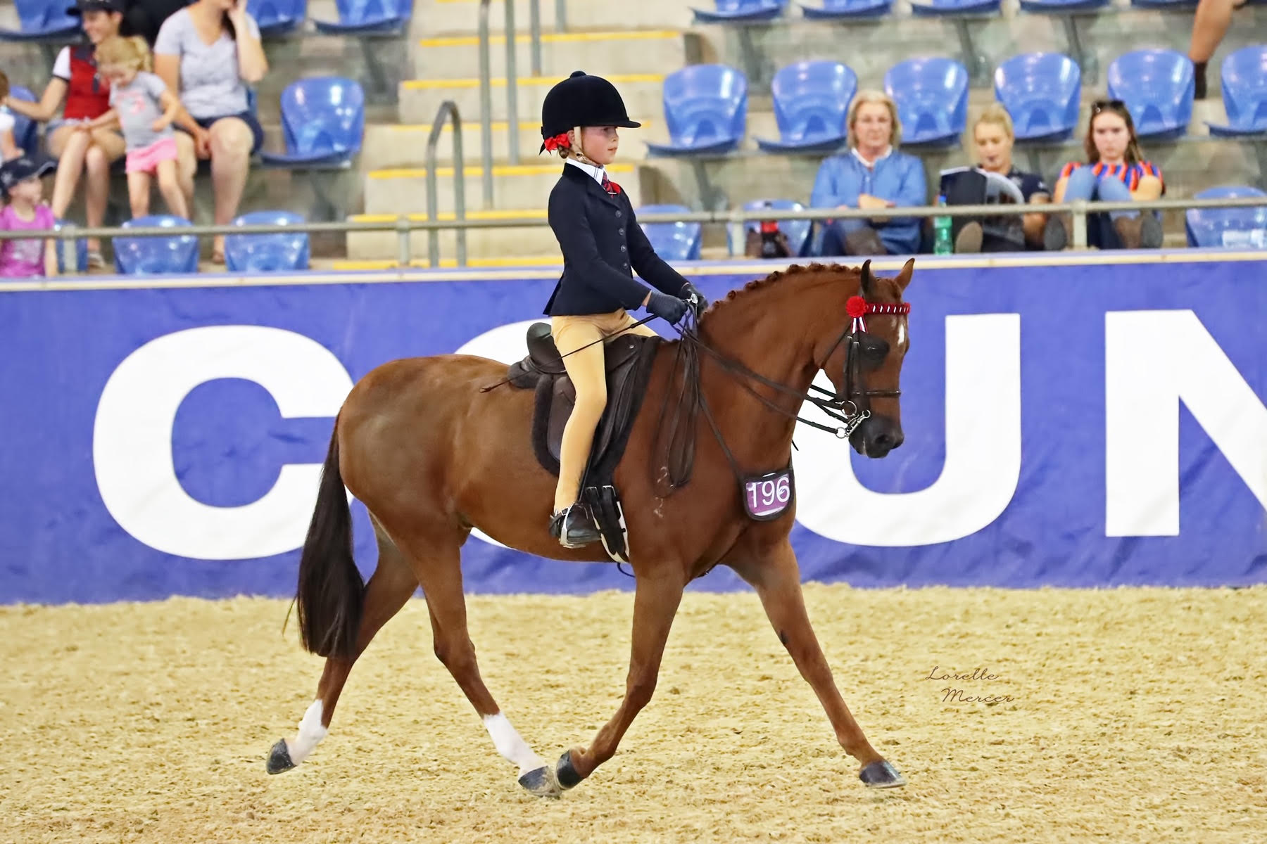Charli Riding Cimeron Prince Charming. Photo Credit Lorelle Mercer Photography