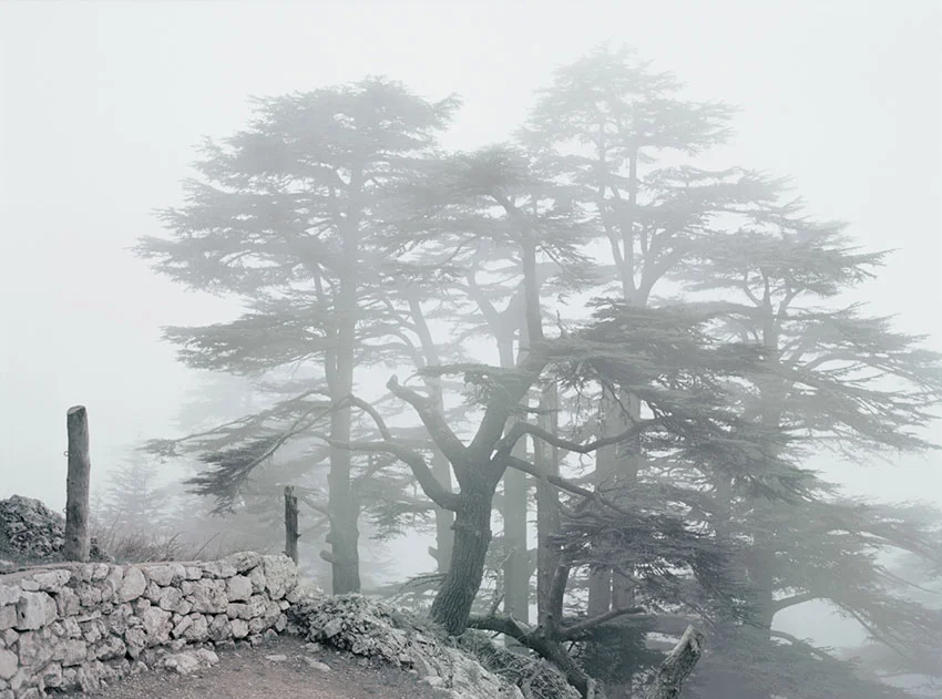 silentspaces_01.jpg