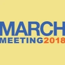 APS March Meeting 2018: Instantons in Self-Organizing Logic Gates