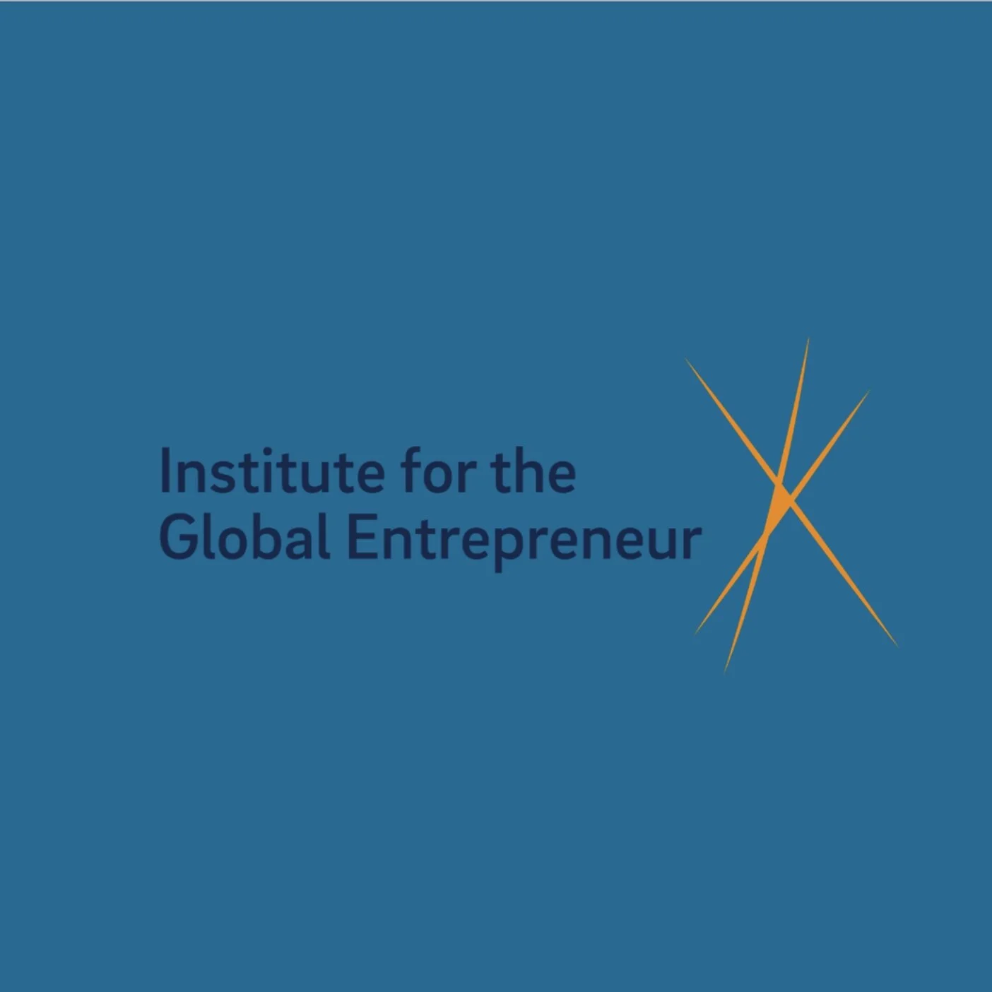 Institute for the Global Entrepreneur, Mini MBA Program