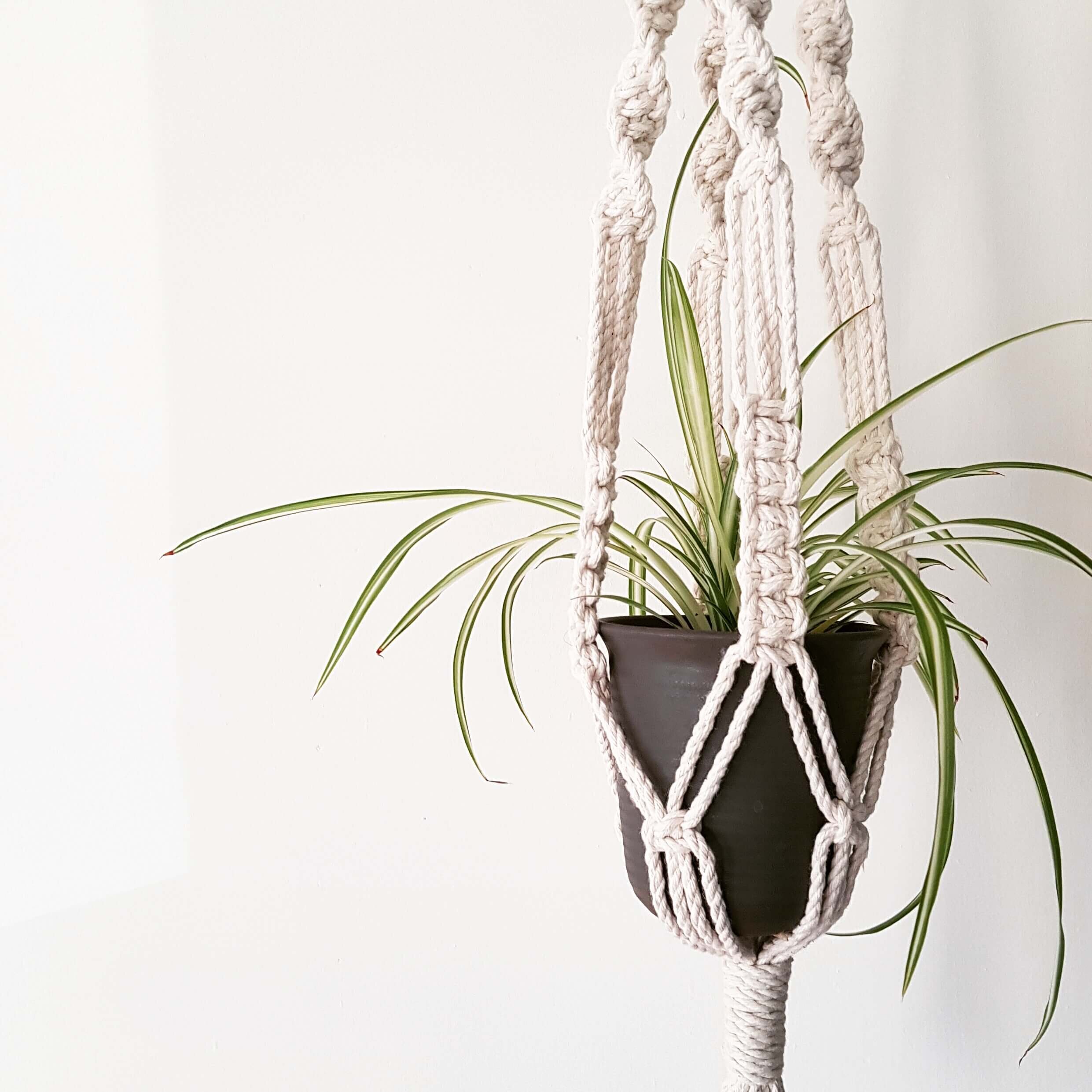 Introducing our macrame plant hanger kit — Cosy Craft Club