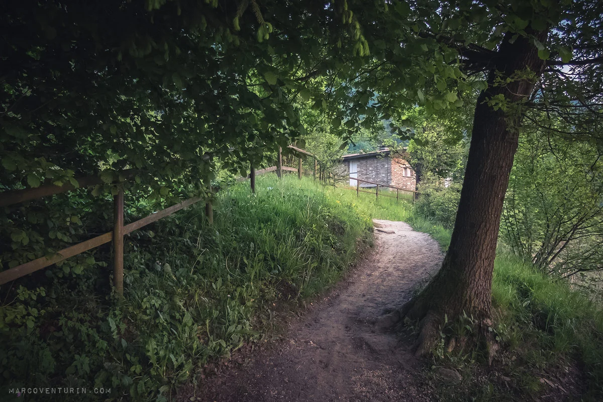 promenade-40.jpg