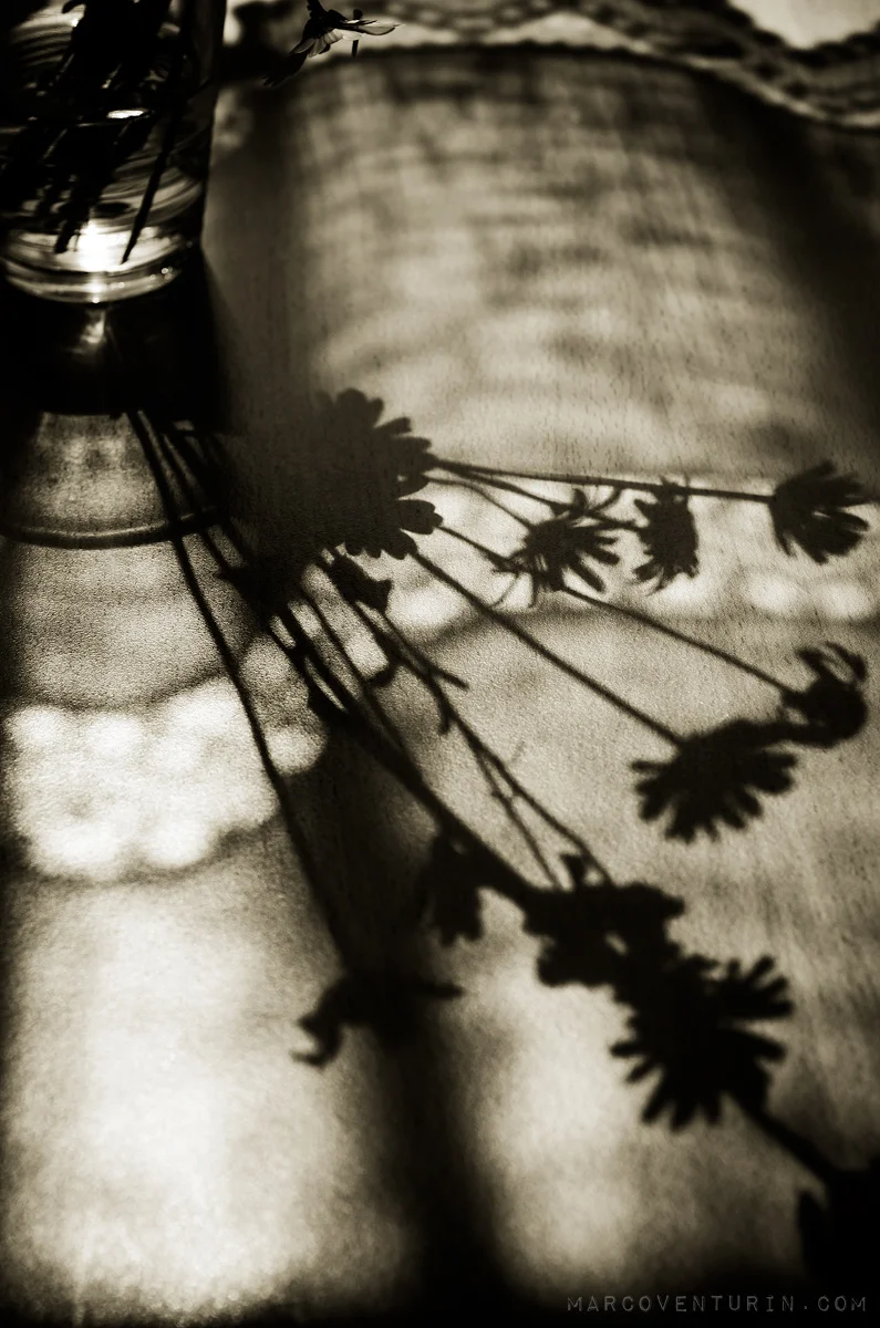 dark-spring-6.jpg