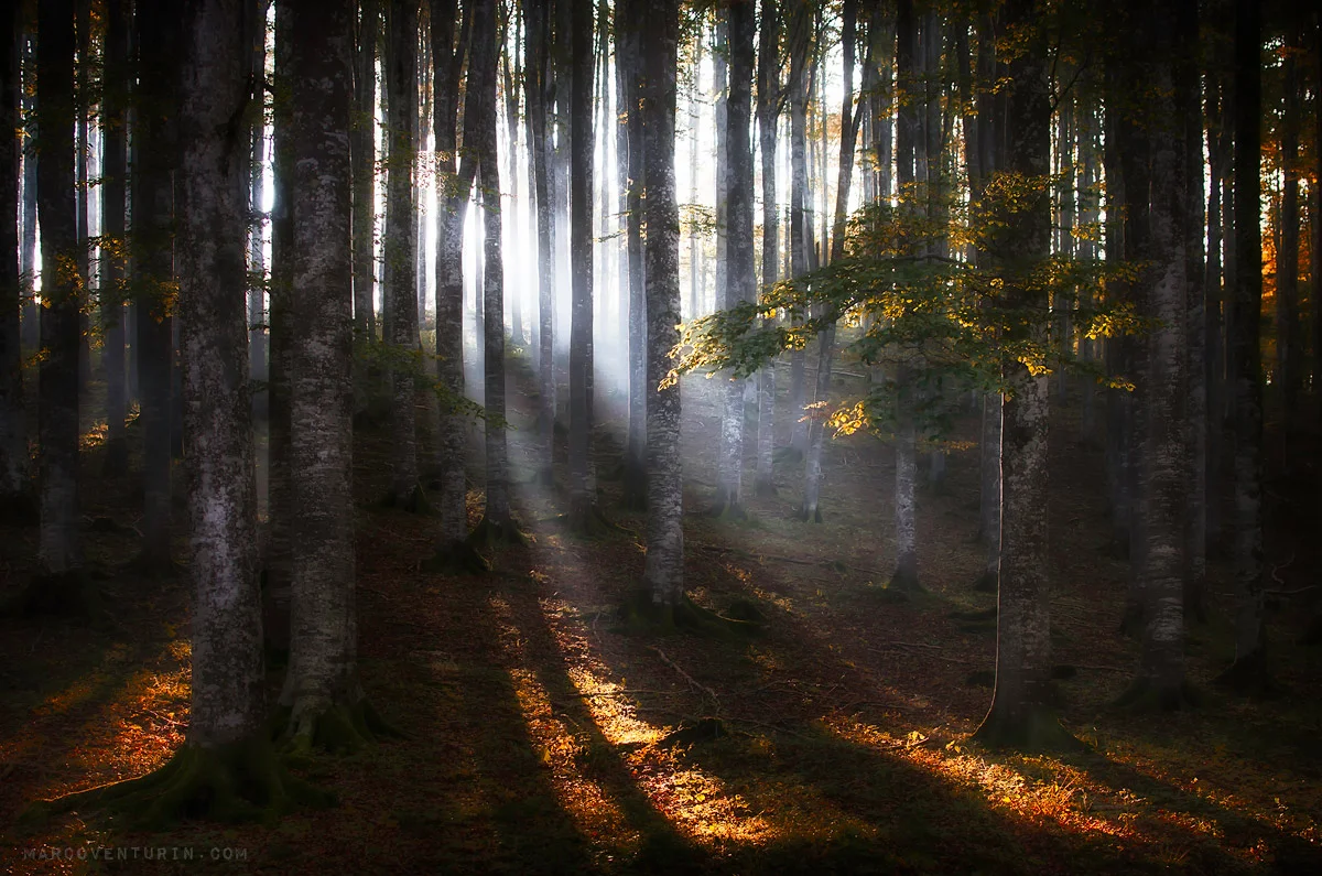 nature photography