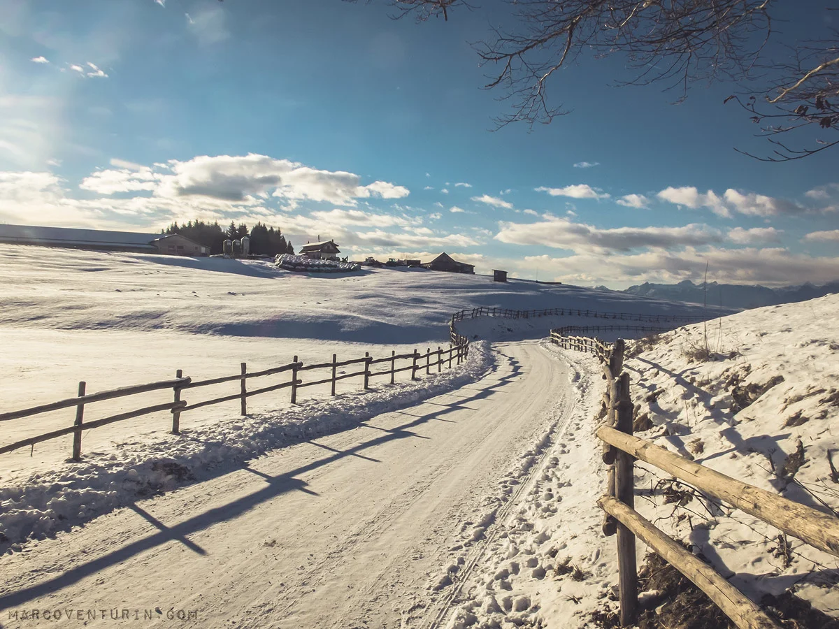neve (3)
