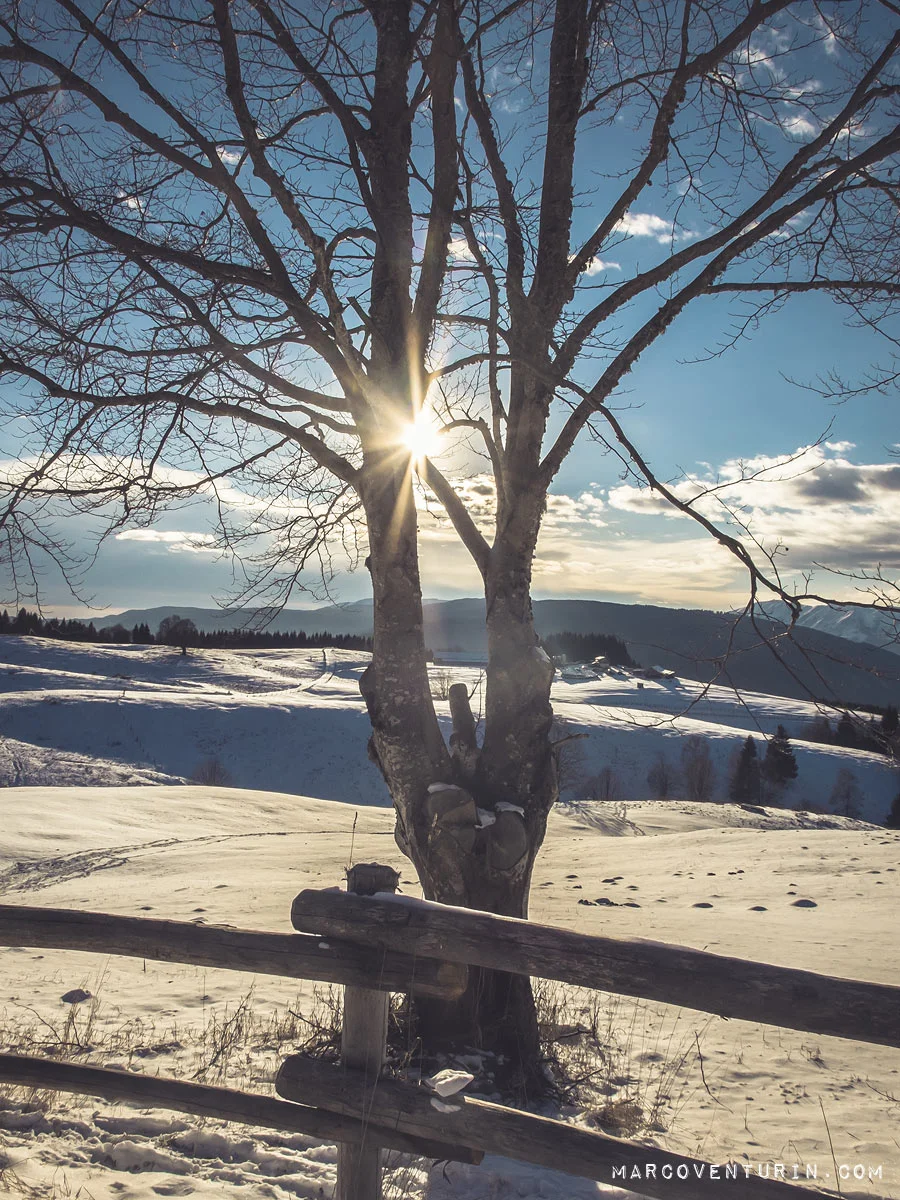 neve (5)