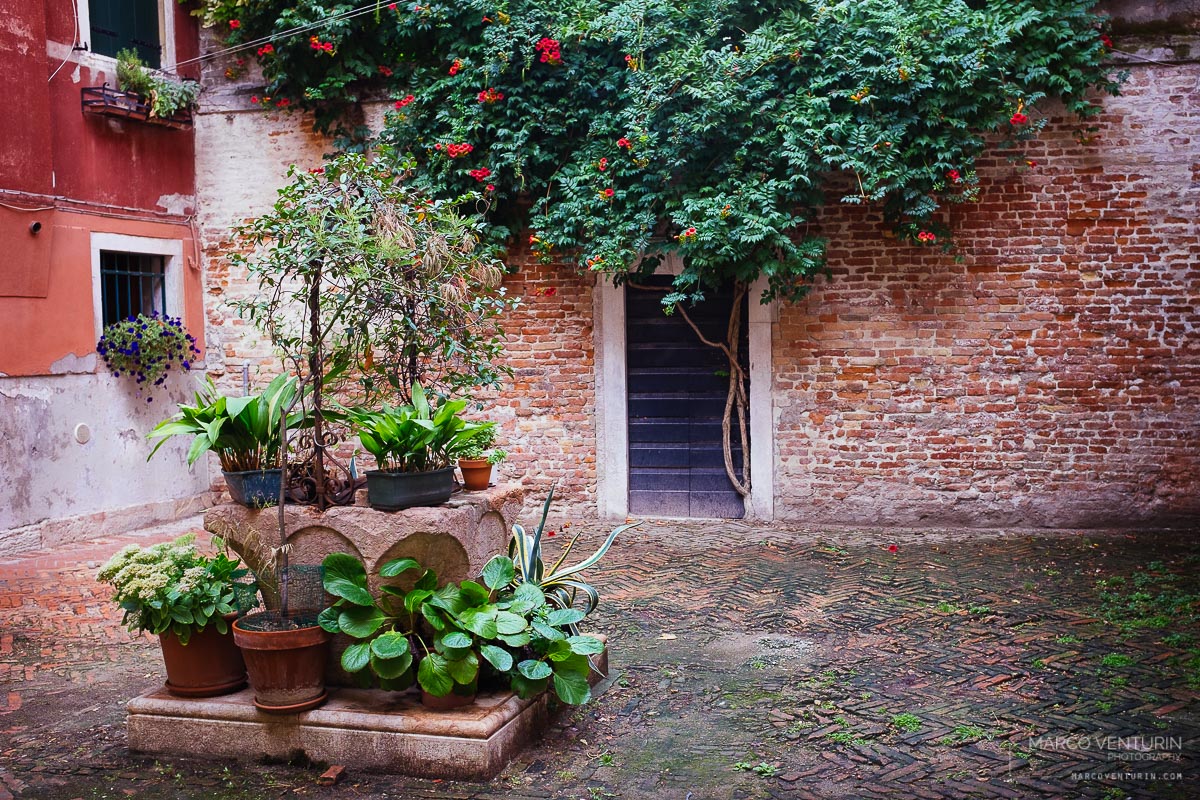 venezia0815-2