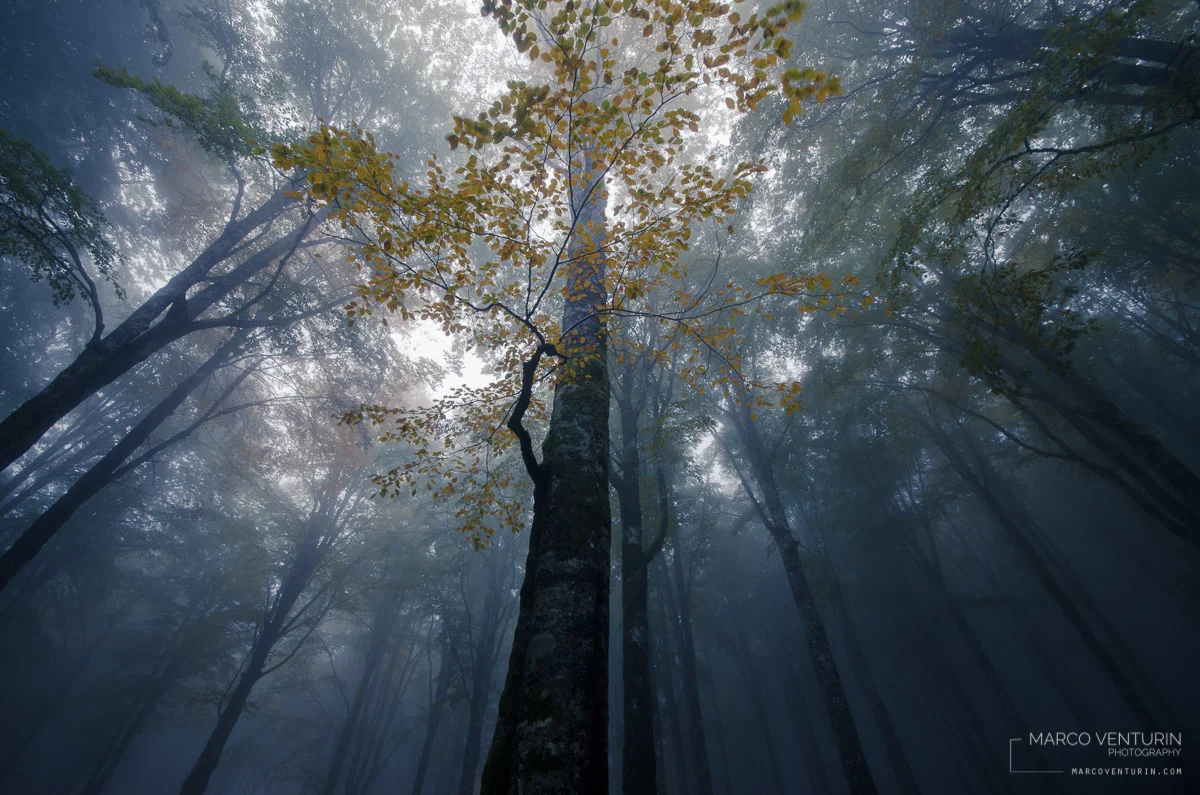 landscapes