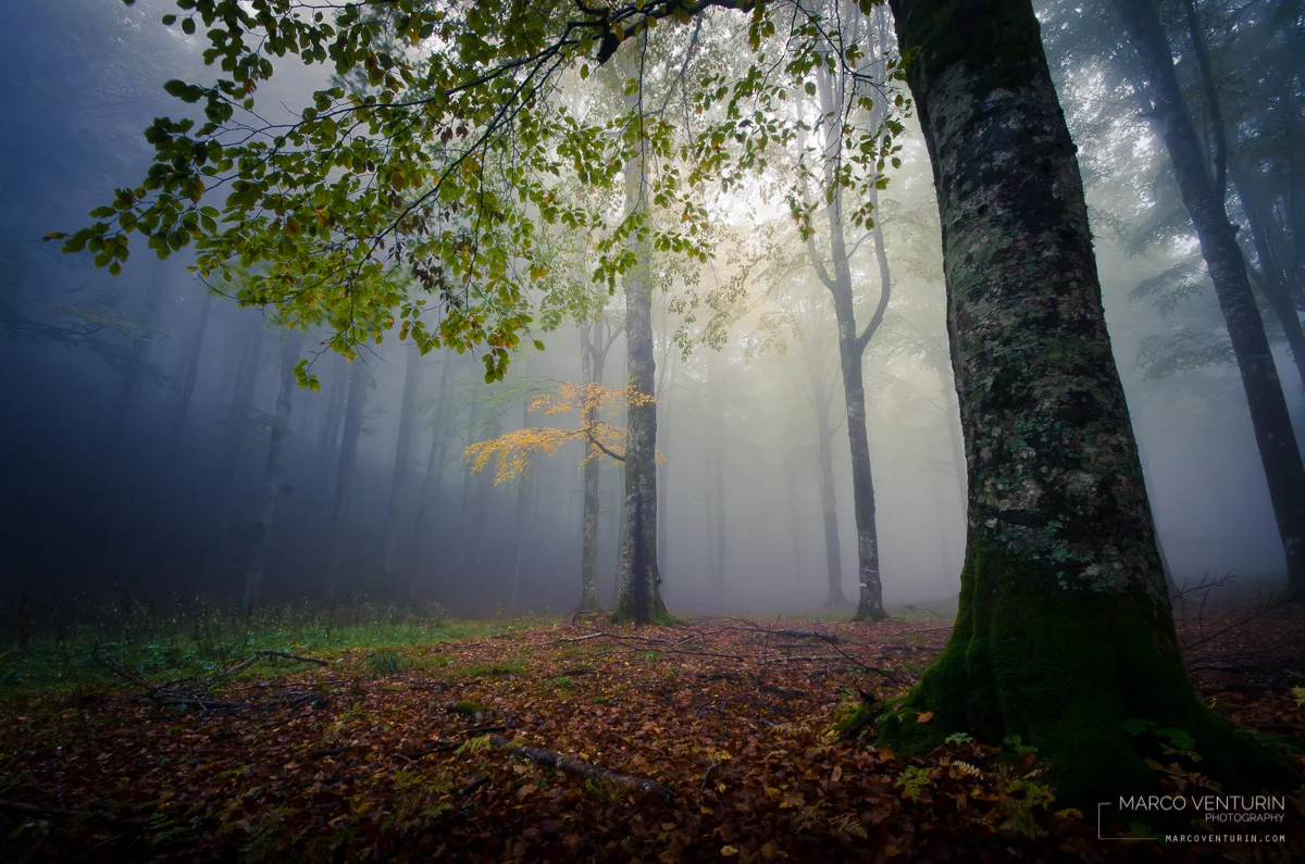 foggy blue (2)