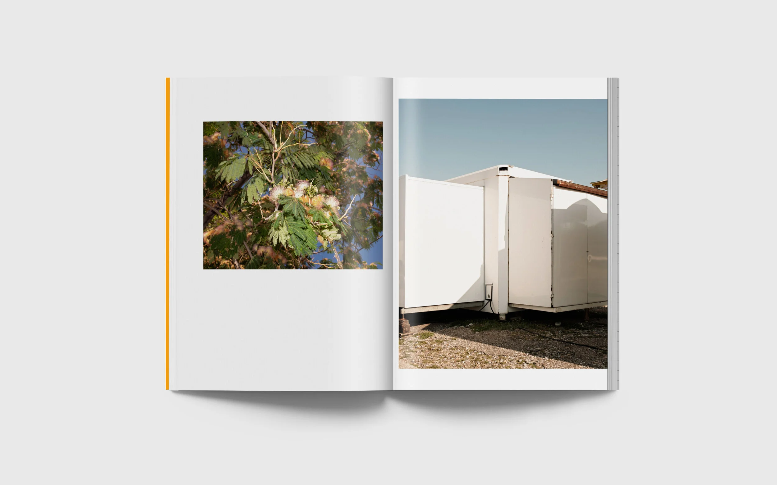 for summer is almost here.jpg