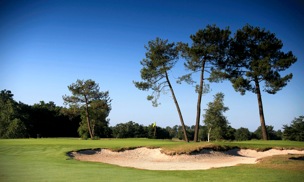A sprinkling of pines is frequently the background to green sites.