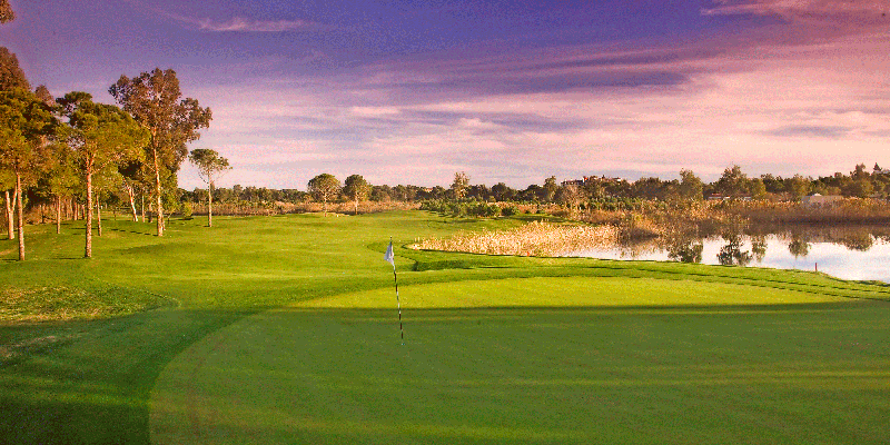 Sultan-Course-10th-__-Linksland-com-(2).gif