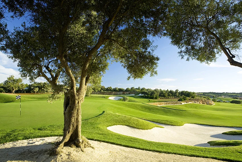 Deep flash bunkers are a theme on this modern championship venue.