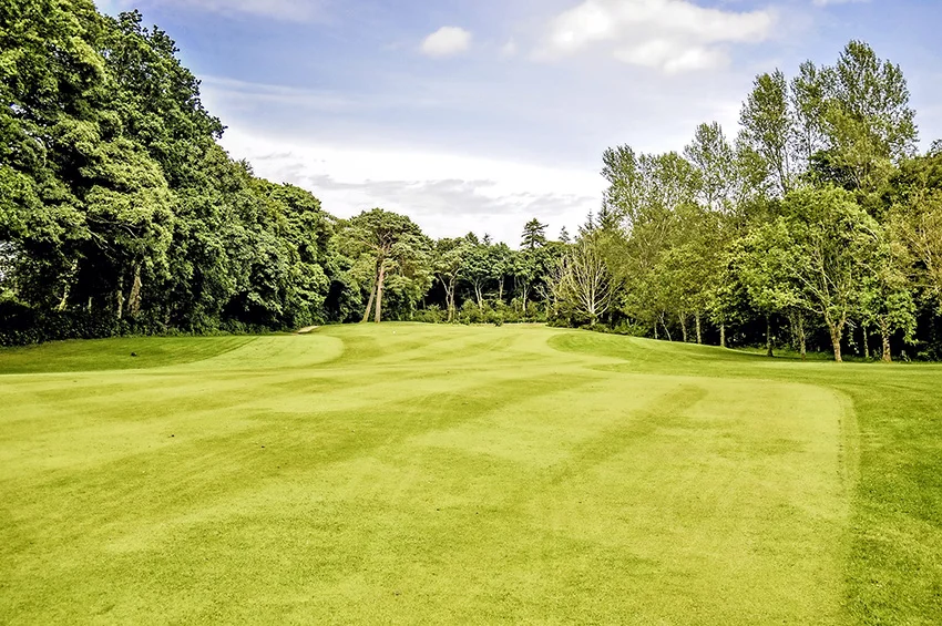 The 6th at Brodick in its woodland phase.