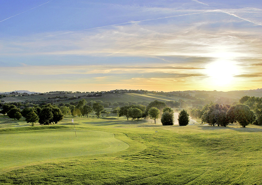 Conero sits among cherry, strawberry and oak trees.