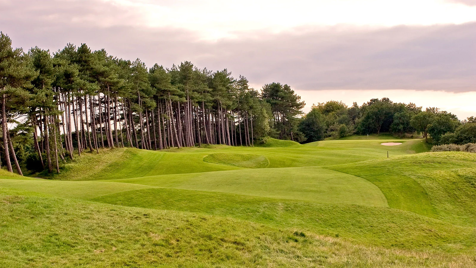 R-Hague-green-10b.jpg