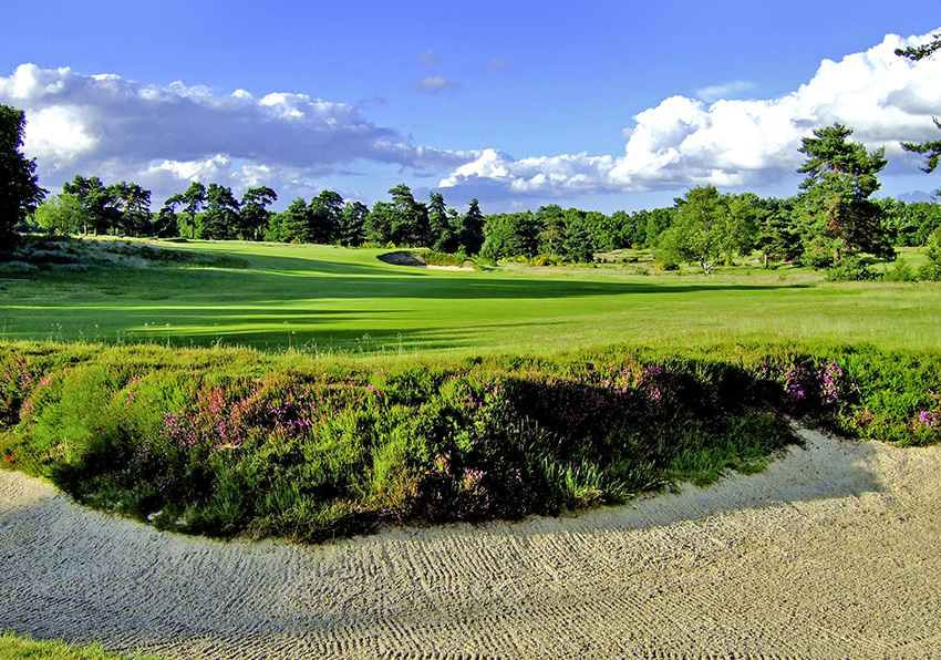 7_Top_100_Golf_Courses_England_Walton_Heath.jpeg