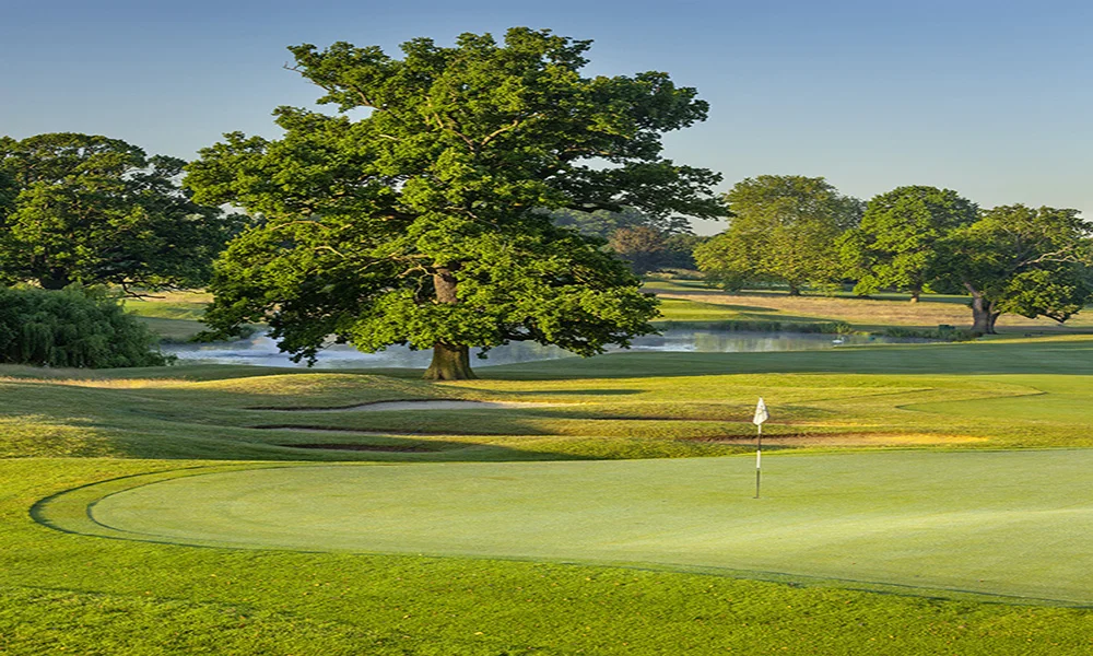 Best_Golf_Courses_Herfordshire_Hanbury.jpg