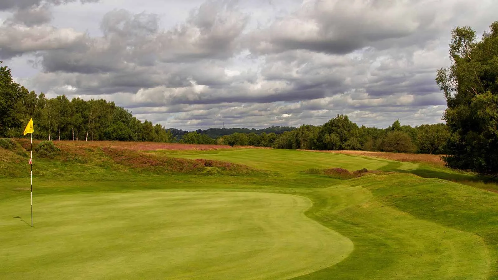 Royal Ashdown Forest Golf Club — Golf World