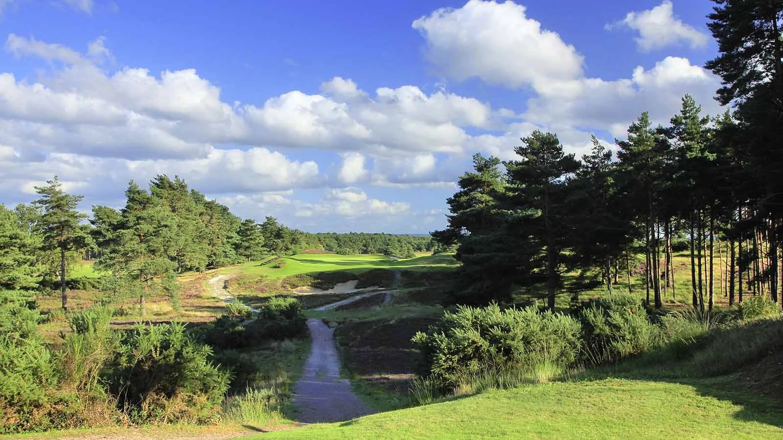 sunningdale_golf_club_4.jpg