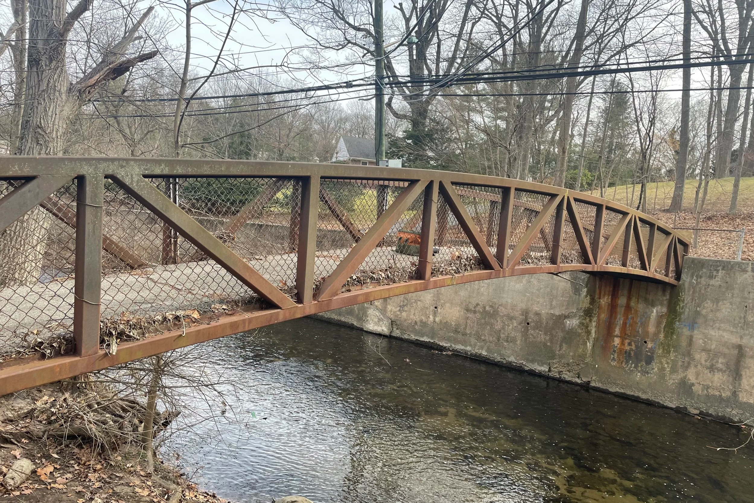 Bridge+Picture.png