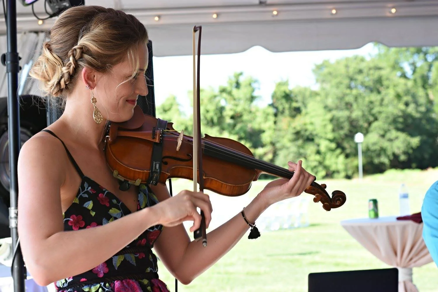 Violin 2.jpg
