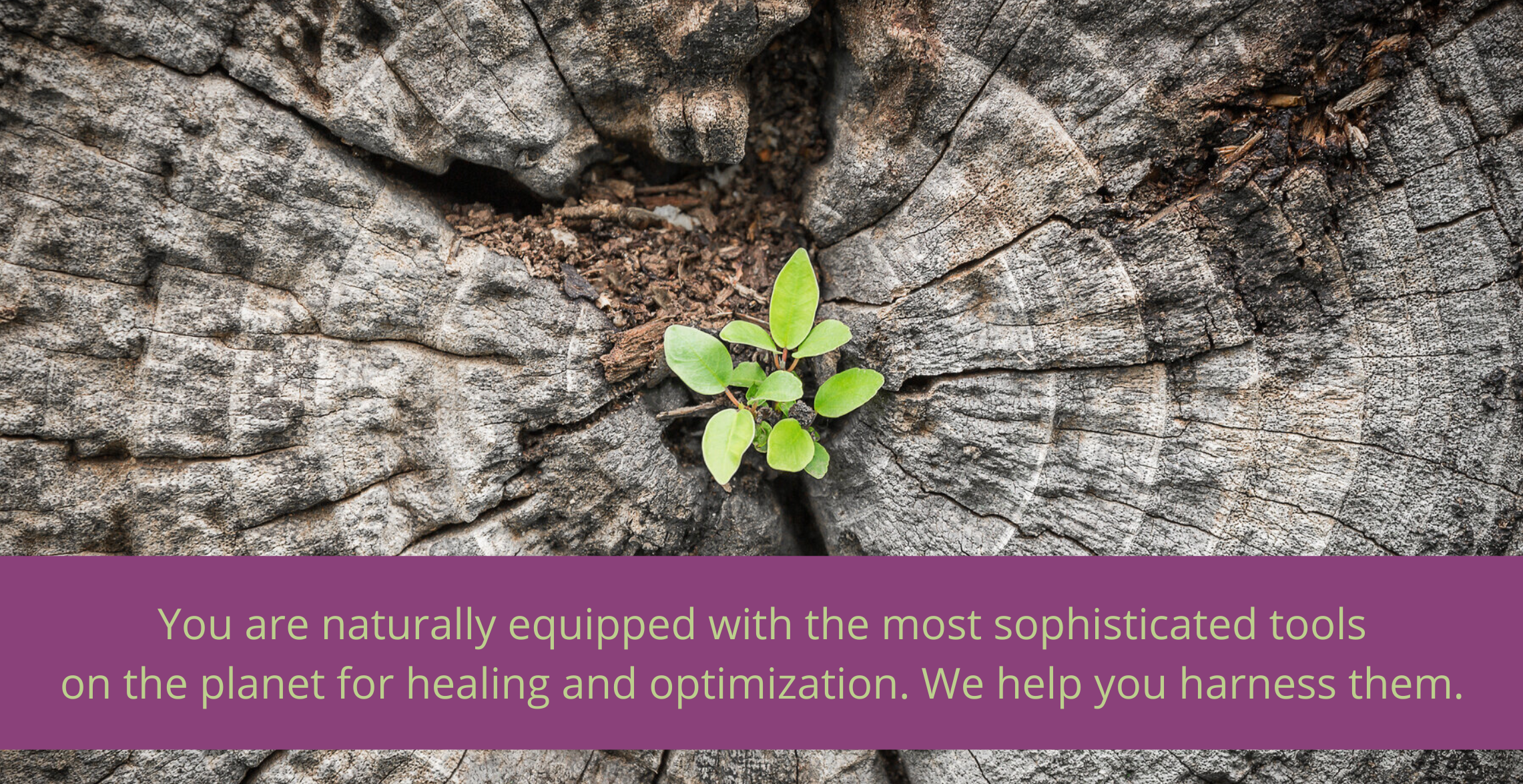 You are naturally equipped  (2).png