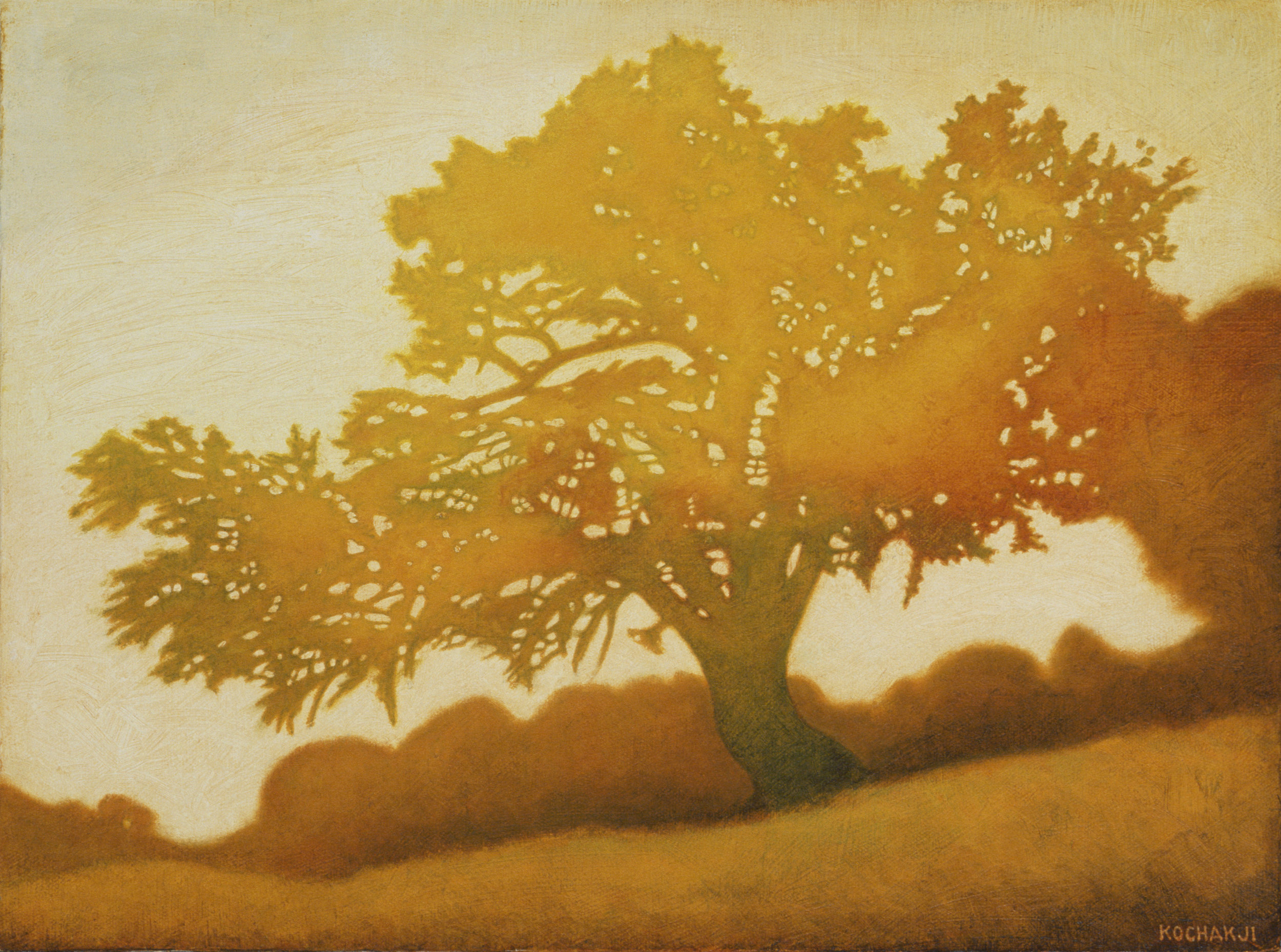 The Golden Oak - oil on canvas - 16x12"