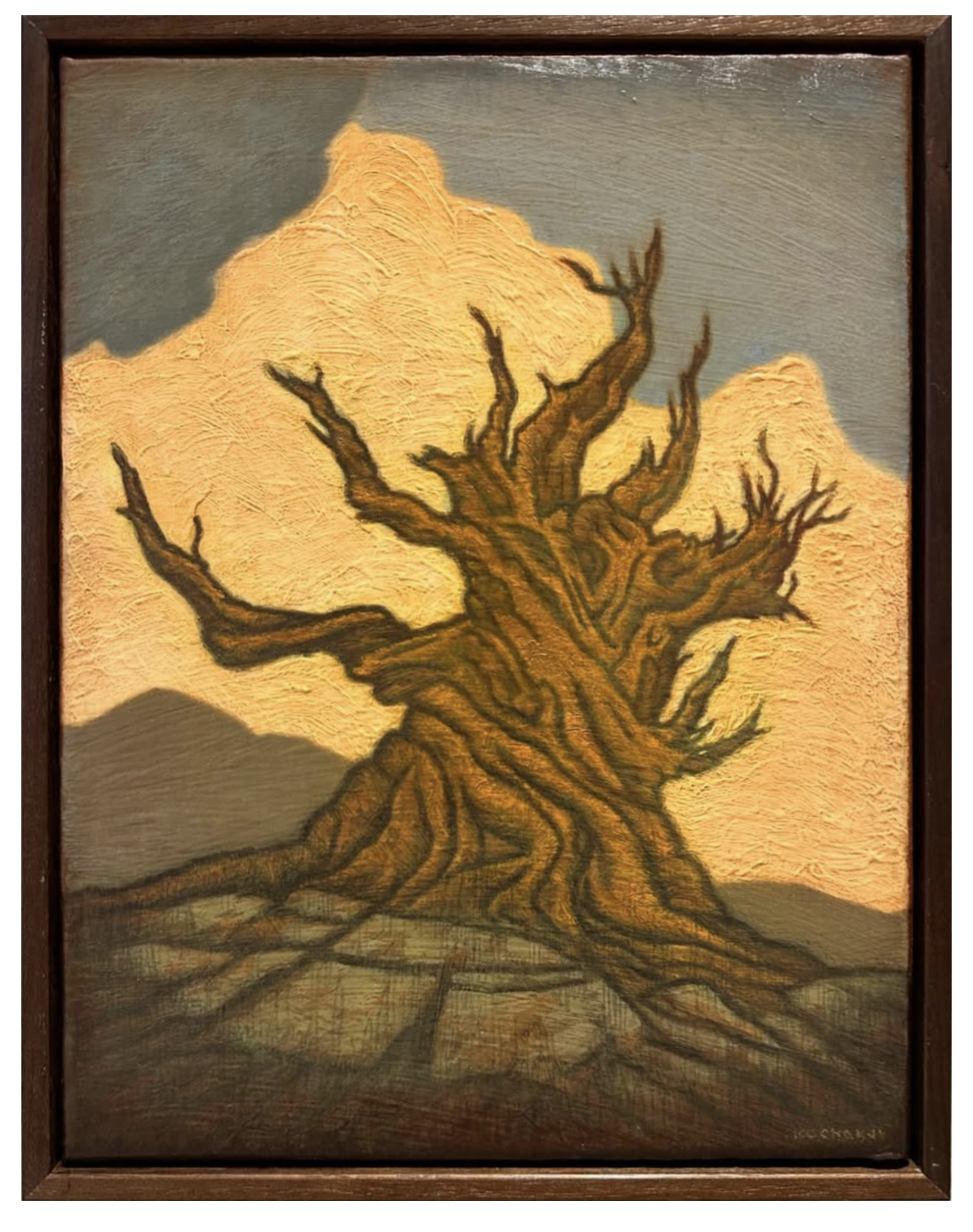 Bristlecone - oil on canvas - 9x12