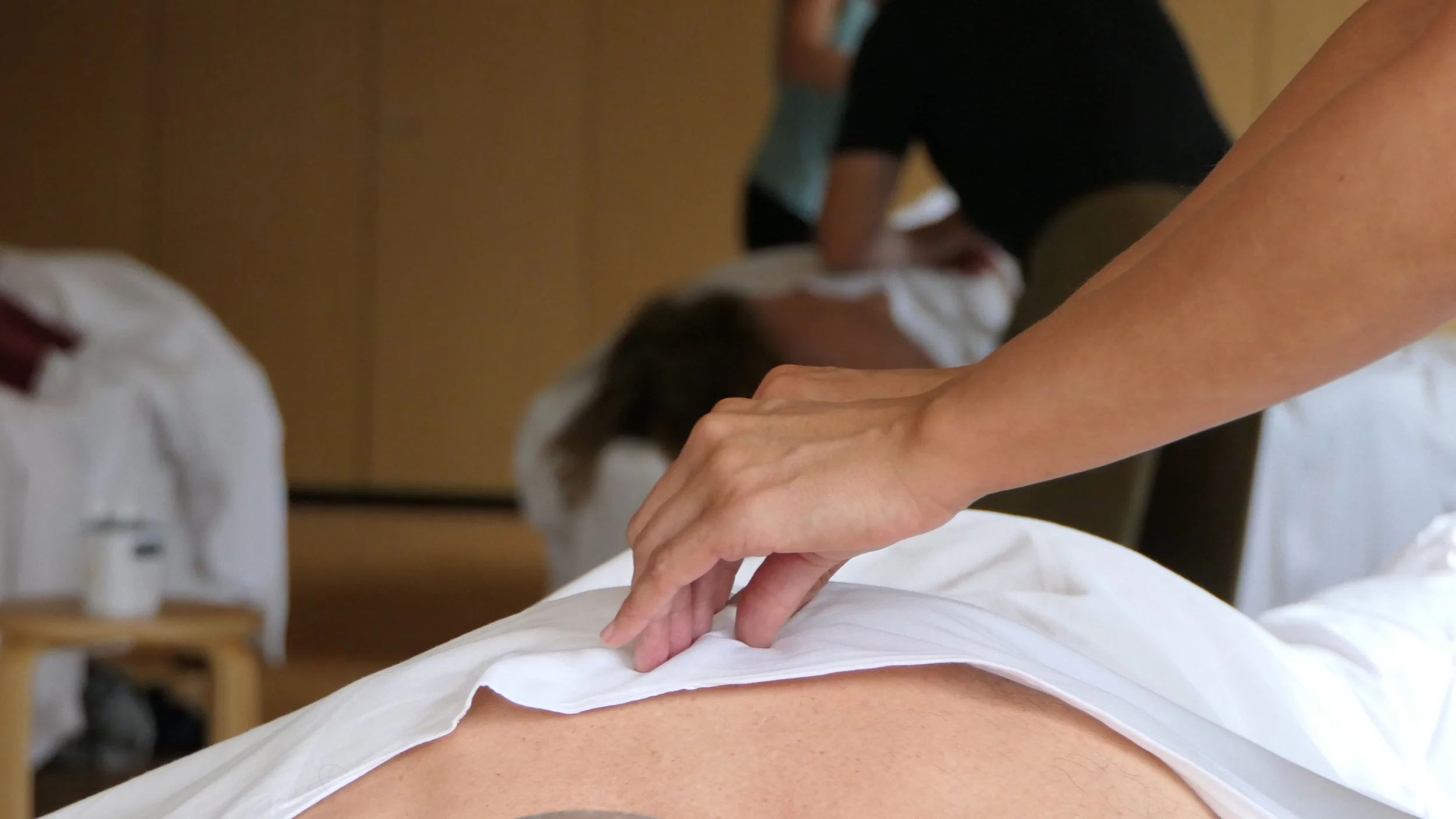 200h Ausbildung Esalen® Massage