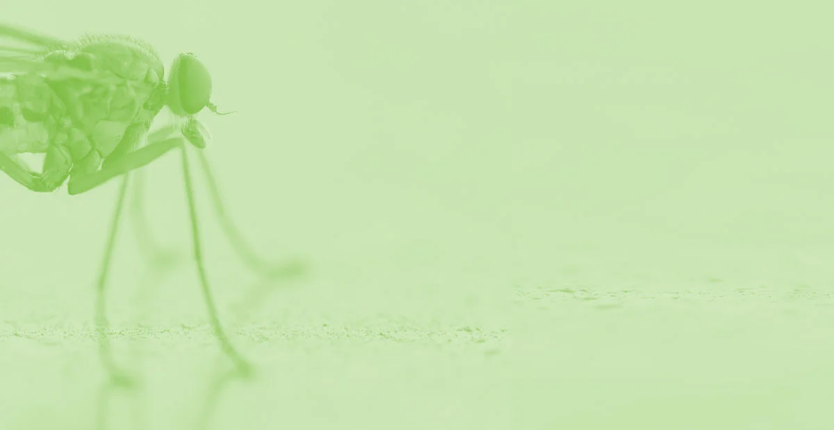 Greenstrike-Product-Header.png