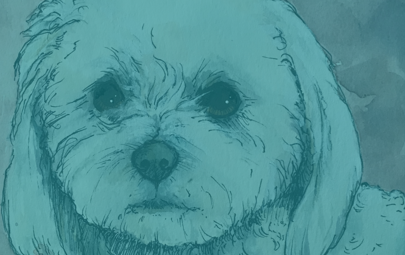 Copy of Pet Paw Studio Header Options (18).png
