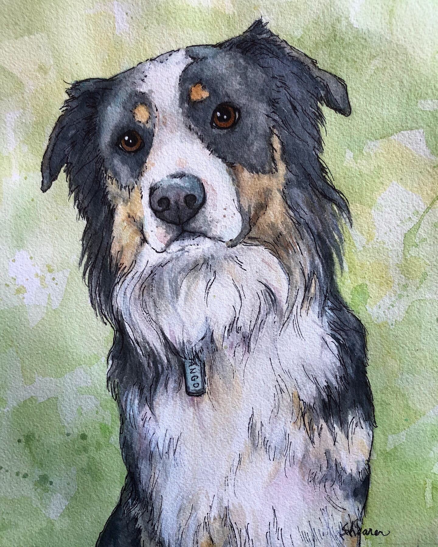 Watercolor Pet Portraits — Painted Paw Studio