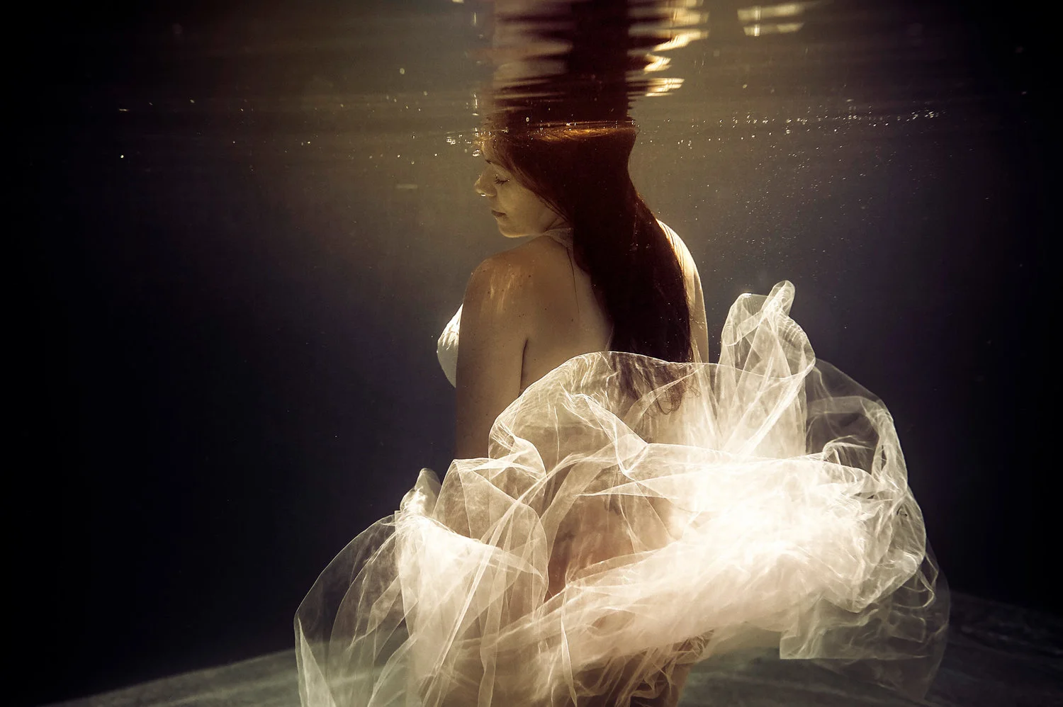Milwaukee_photographers_underwater.jpeg