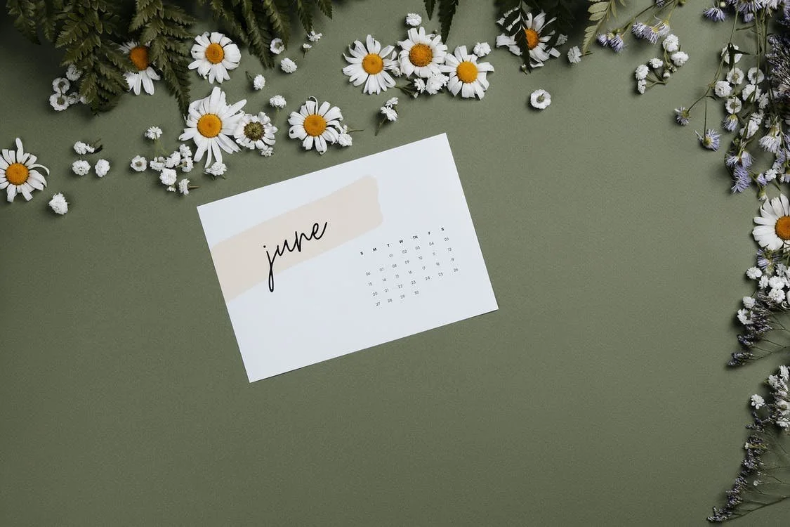 Calendar showing month of June against a green background with daisies scattered at the top of the image.