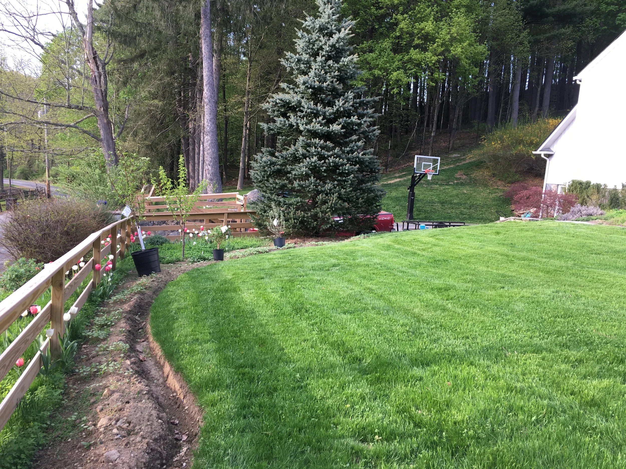 Transitioning the Edge Away From Non-native grass