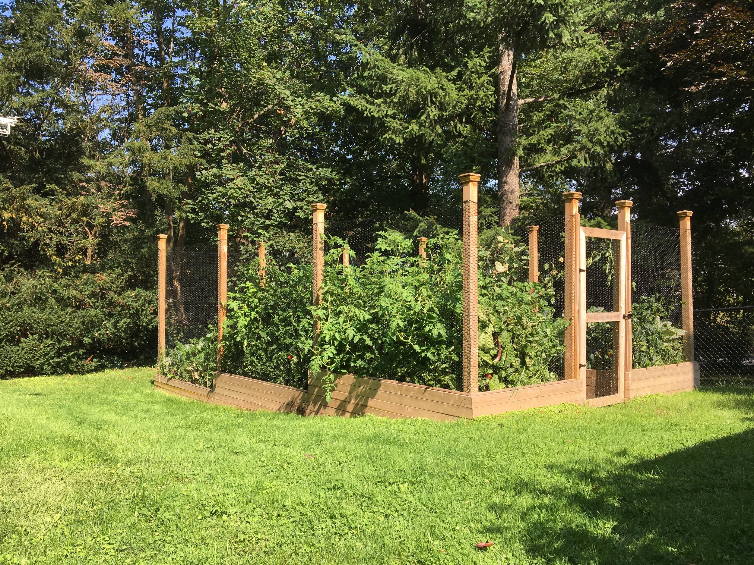 Enclosed Cedar Vegetable Garden