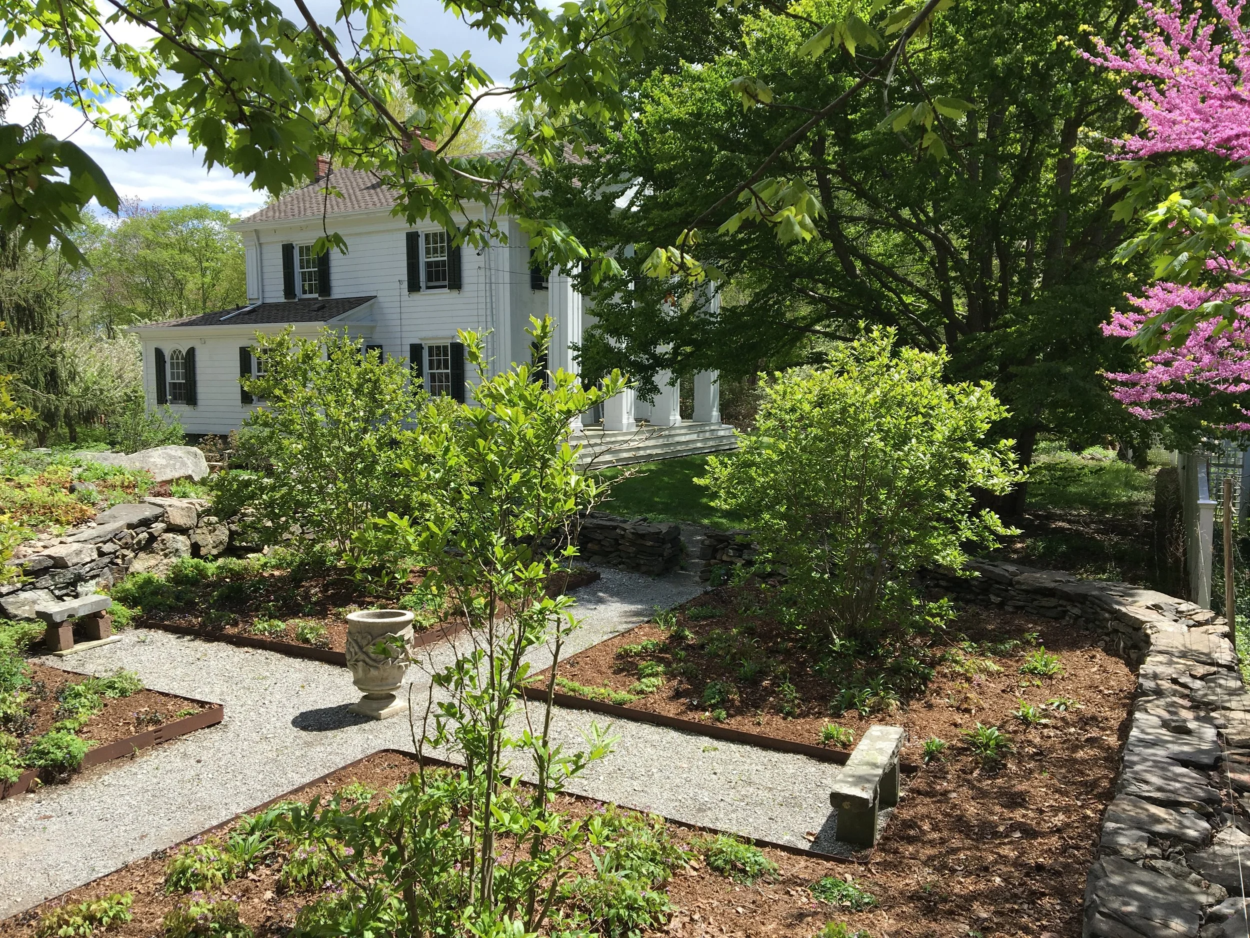 Formal Sitting Garden Cleaned-up and Planted with Native Starts