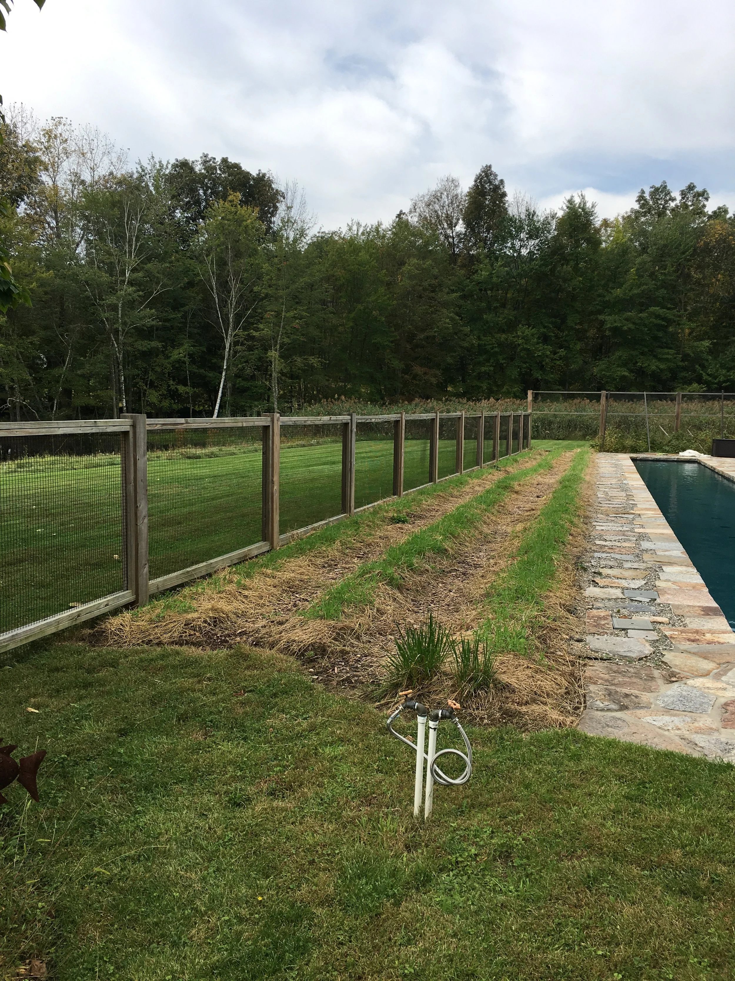 Raised Beds in Cover Crop