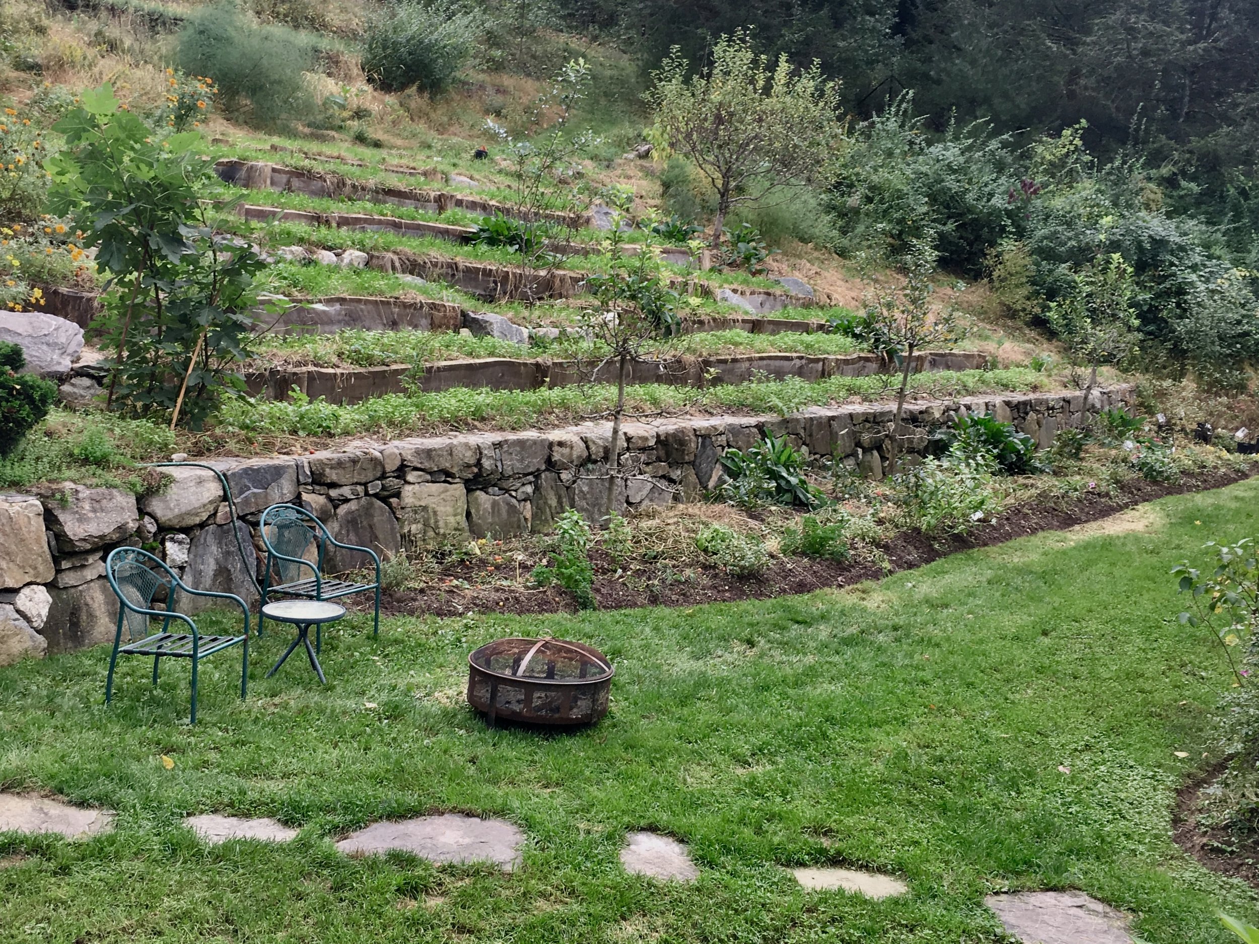 Terraced Veggie Garden